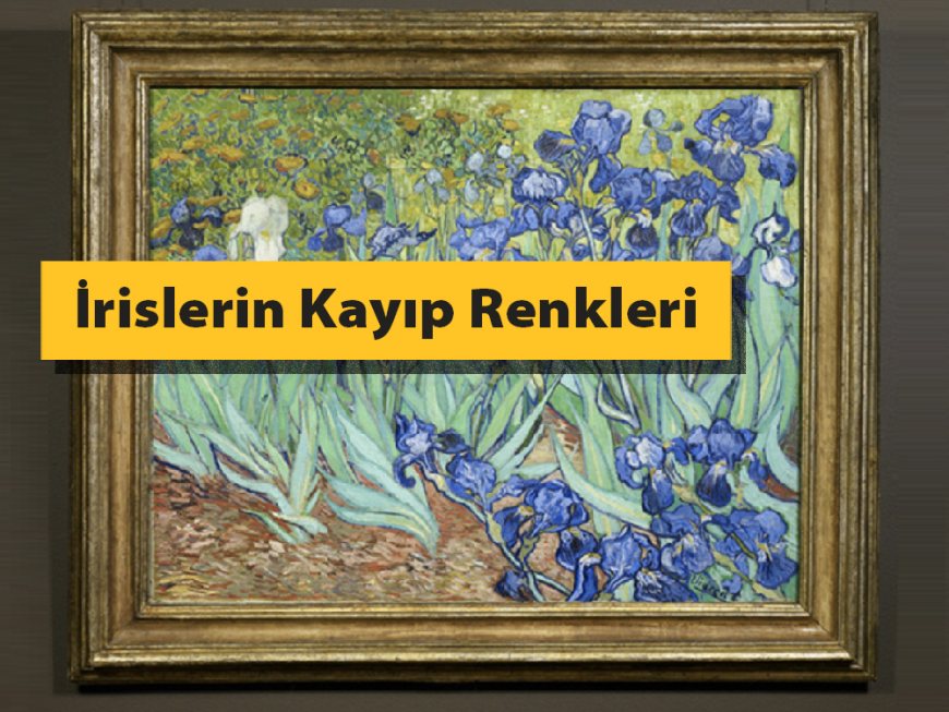 Van Gogh’un “İrisler” Tablosu: Renklerin Solmayan Hikâyesi