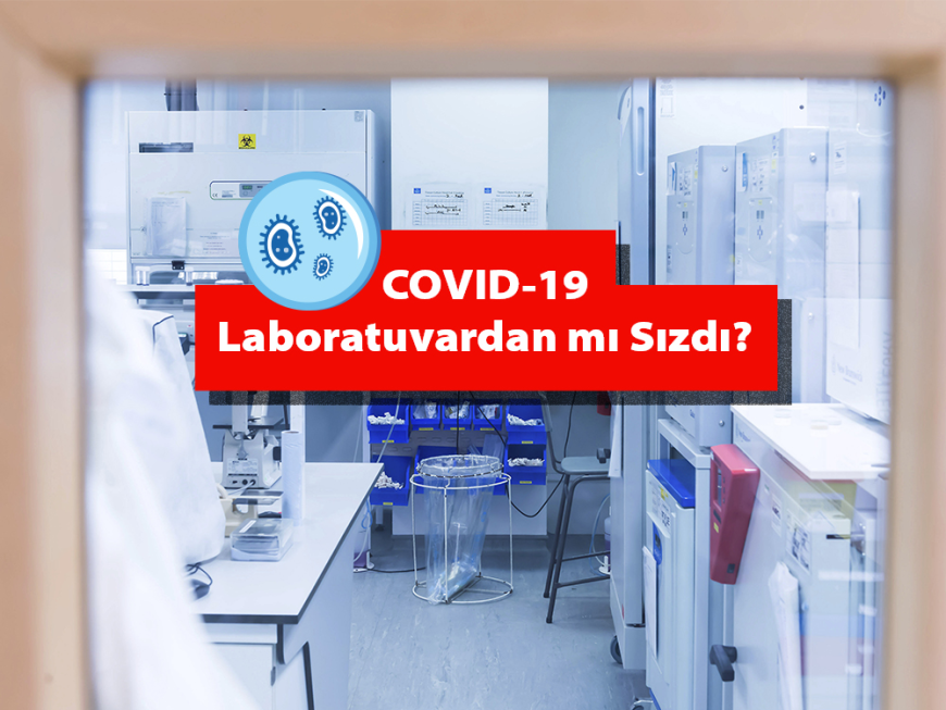 COVID-19'un Laboratuvar Sızıntısı Teorisi: Gerçek mi, Kurgu mu?